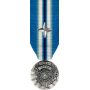 USN Arctic Service Medal